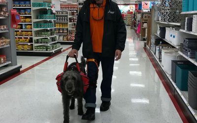 Mason F. Labradoodle’s Final Training, Part 4