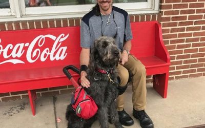 Mason F. Labradoodle’s Final Training, Part 3