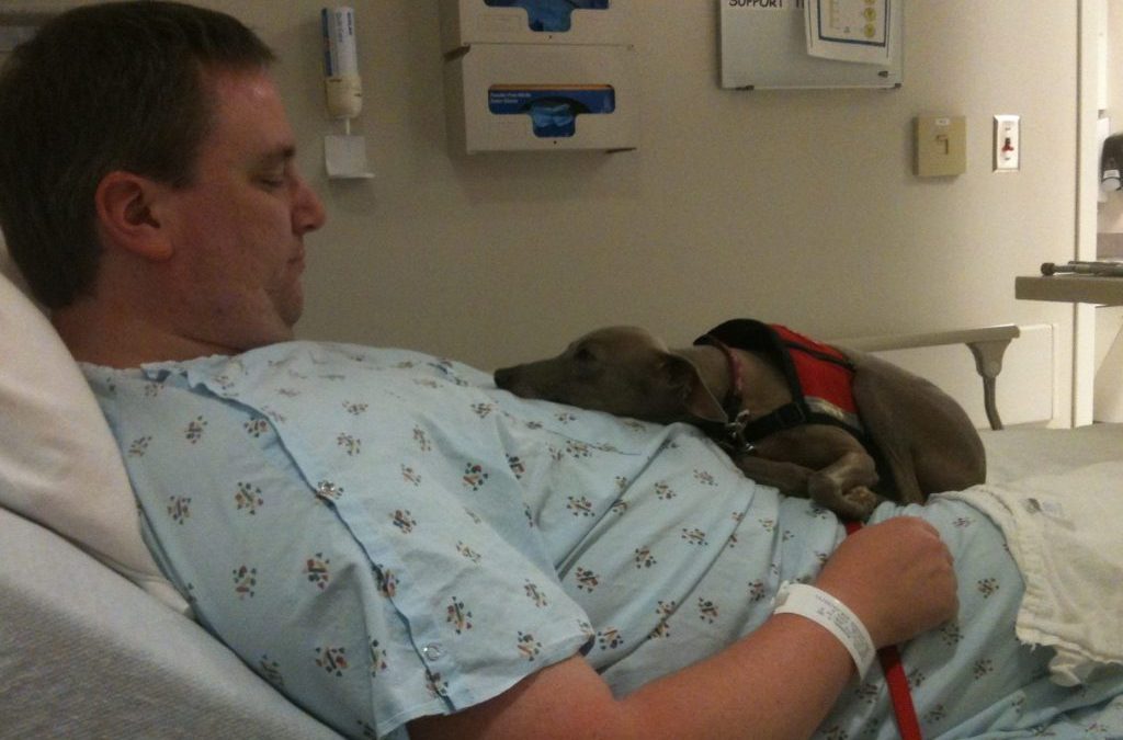 Must a Hospital Allow a Disabled Patient to Keep a Service Animal in Their Room?