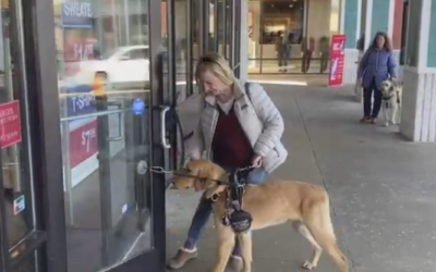 Video of Service dogs Gibson and Jimmy at Tanger Outlets